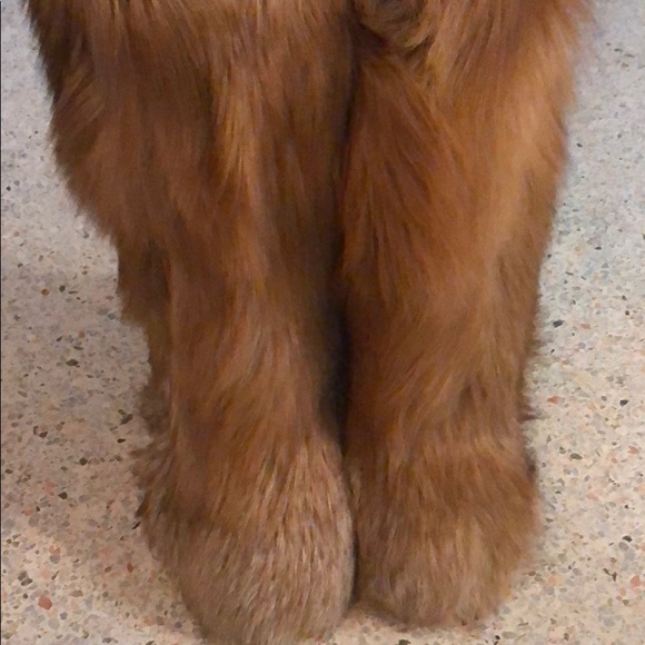 DOLCE & GABBANA RUNWAY - Picture 4 of 8